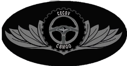 Course Image CURSO DE ESPECILIAZAÇÃO EM CONDUÇÃO E OPERAÇÃO DE VIATURAS